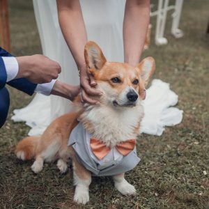 photographe-mariage-chateau-vaudere-parigne-evequeJournee_166_0H7A1482