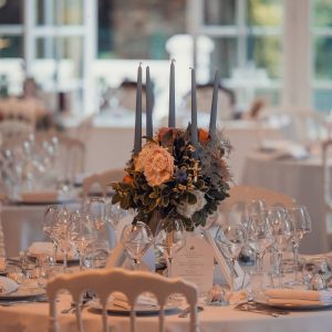 photographe-mariage-chateau-vaudere-parigne-eveque_07Reception-004-1P7A2651