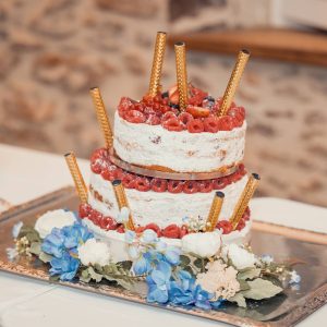 photographe-mariage-chateau-vaudere-parigne-eveque_07Reception-201-1P7A2865